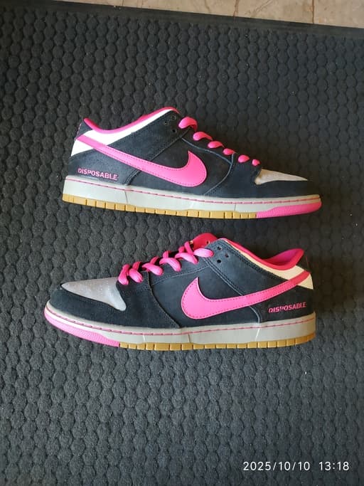 Nike Dunk SB Low Disposable