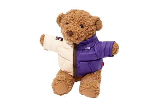 Supreme x The North Face Bear (SS24)
