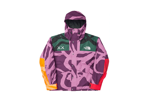 The North Face x KAWS Mountain Parka Purple/Green (FW21)