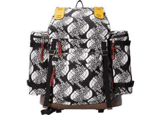 Gucci x The North Face Large Backpack Black/White/Silver-Tone (SS21)