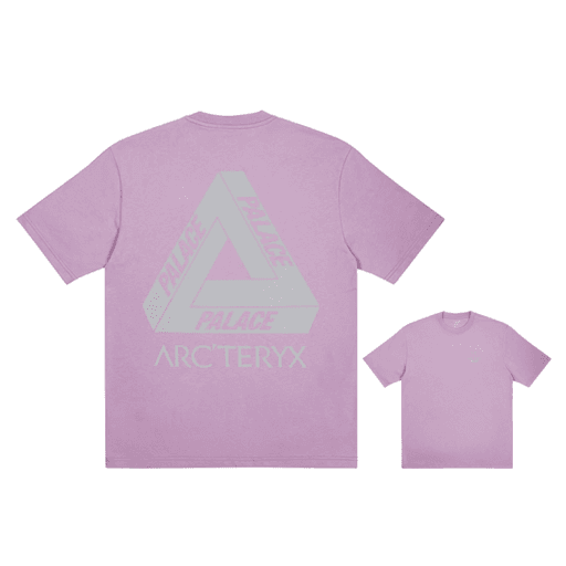 Palace x Arc'teryx T-Shirt Haze (FW20)