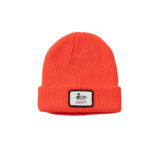 Nike SB x Concepts Mallard Beanie (2020)