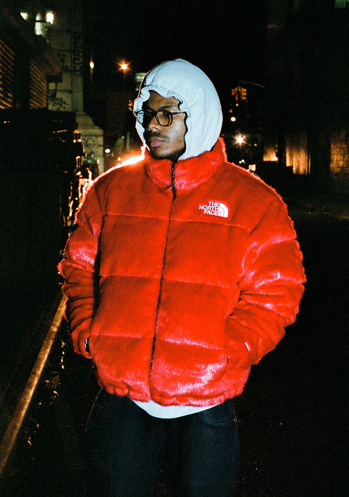 Supreme x The North Face Loobook 1