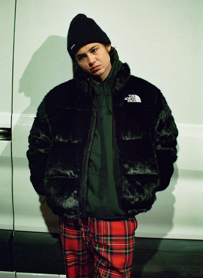 Supreme x The North Face Loobook 2