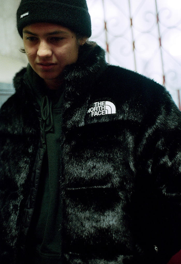 Supreme x The North Face Loobook 3