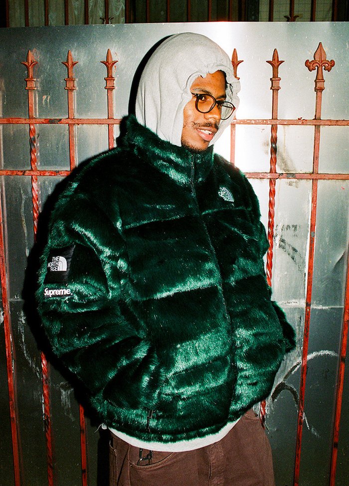 Supreme x The North Face Loobook 4