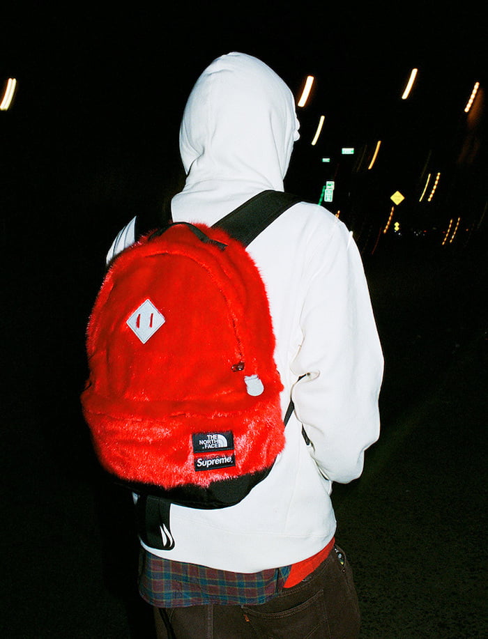 Supreme x The North Face Loobook 6